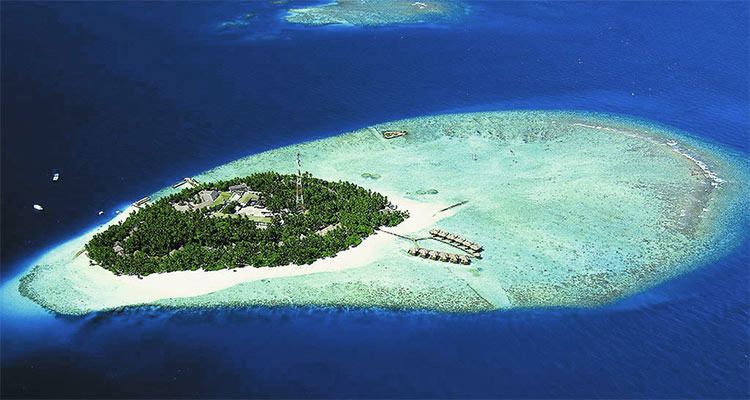 Malediven Tauchen Maledivenurlaub